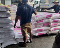 Gạo Từ Thiện Sài Gòn Và Các Tỉnh Lân Cận – Kho Gạo Thành Tâm Cung Cấp Quy Mô Lớn, Uy Tín, Chất Lượng